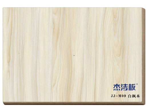 JJ-M09白楓木